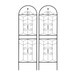 19084703