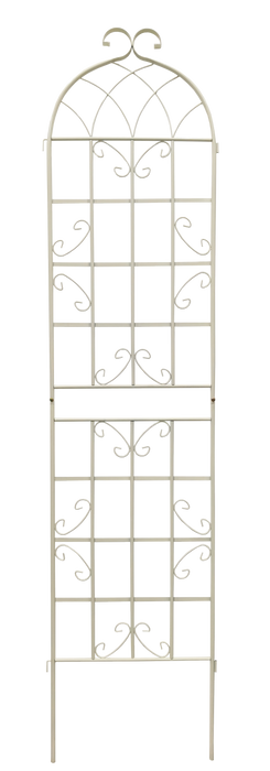 19087253