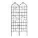 19087338