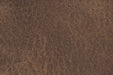 19033459