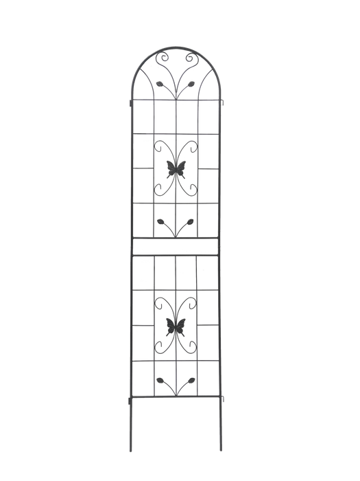 19086927