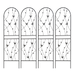 19084612