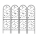 19084644
