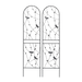 19086258
