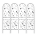 19086228