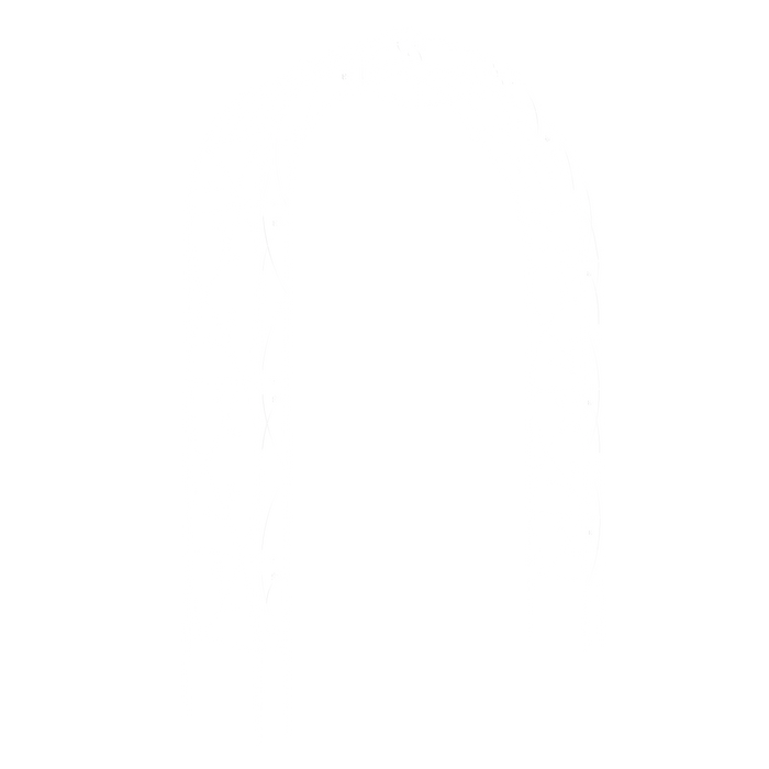 19086175